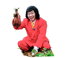 週刊山崎くん